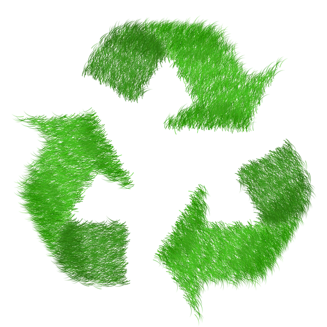 green-1968596_640 recycling icon